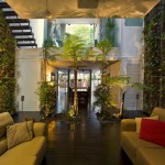 Séjour design avec des plantes