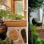 eco interieur design